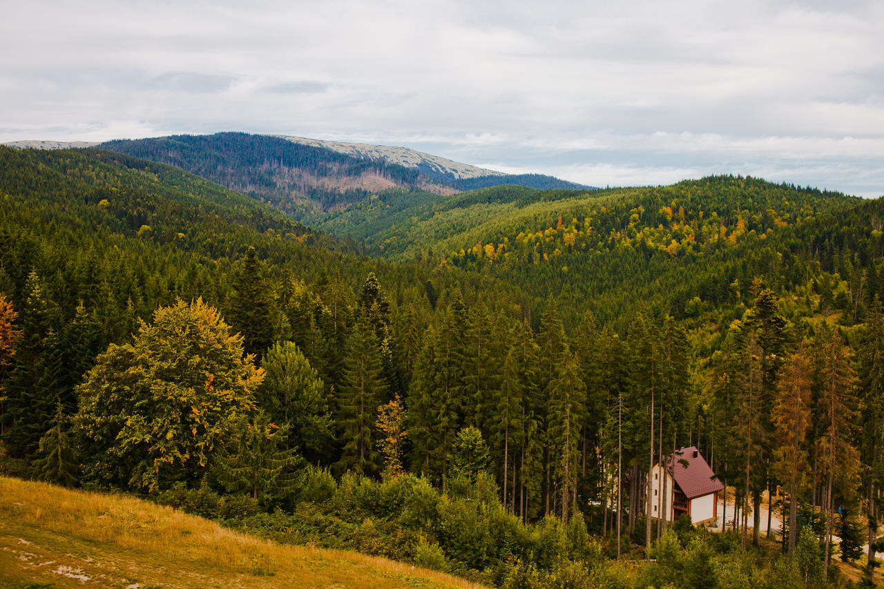 Karpatski Hotel & Spa Bukowel Zewnętrze zdjęcie